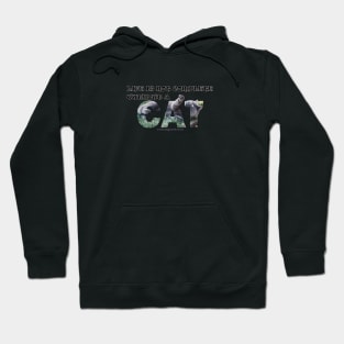 Life is not complete without a cat - grey cat oil painting word art Hoodie